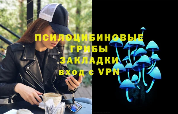дмт Липки