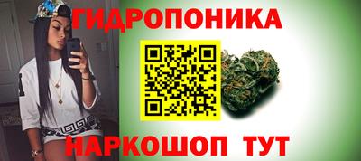 сатива Абинск