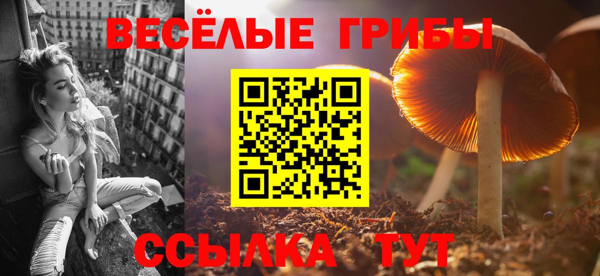 Галлюциногенные грибы Psilocybine cubensis  Чапаевск 