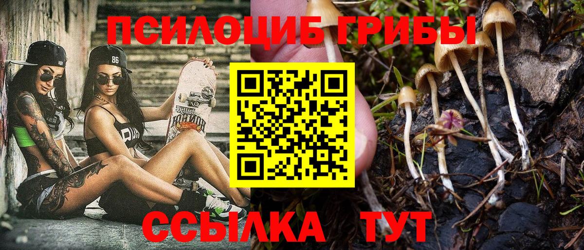Галлюциногенные грибы Psilocybe  Вход с VPN  Псилоцибиновые грибы прущие грибы  купить наркотики цена  Чапаевск 